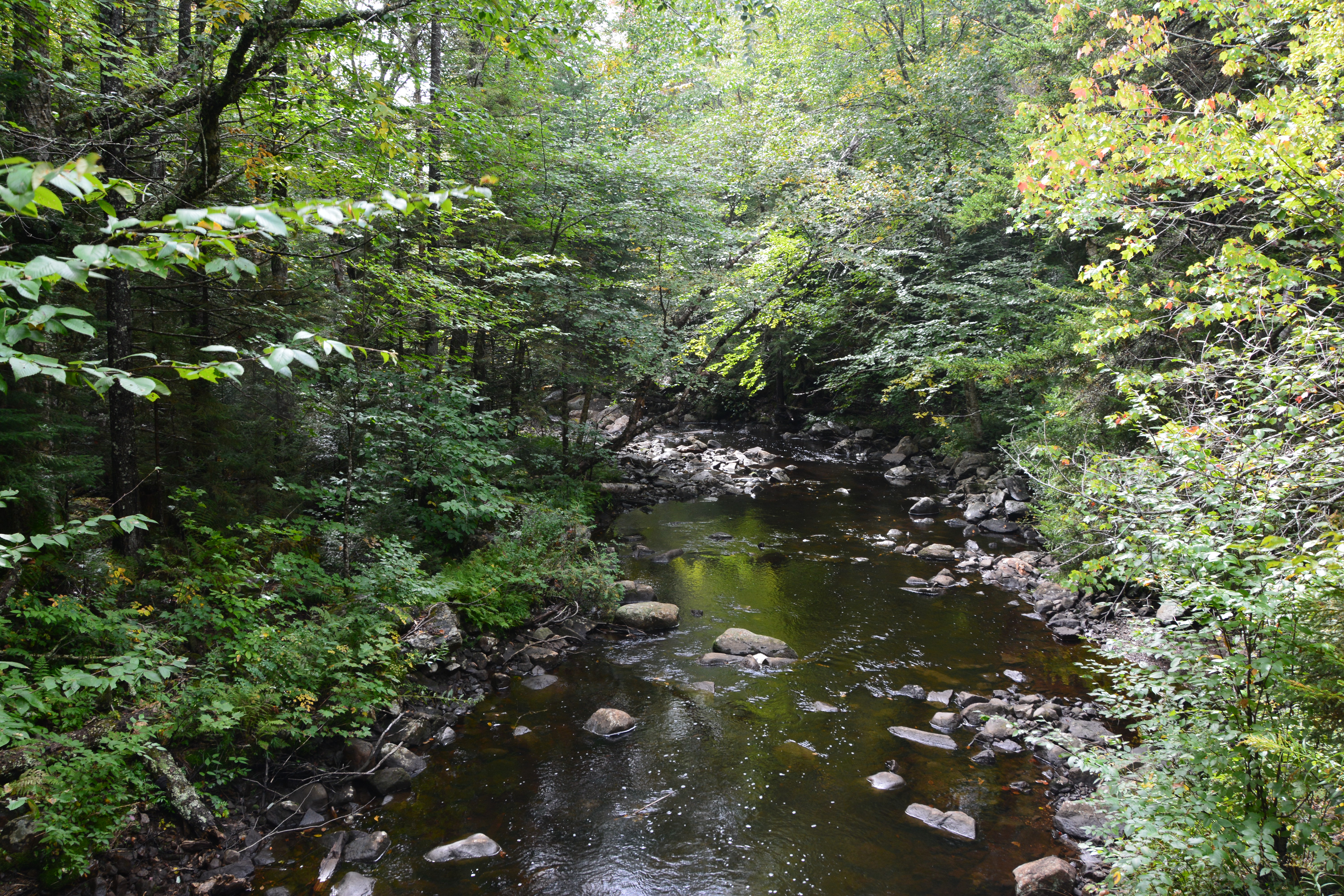 Slanger til svømmebassiner til salg her: Suffolk County, New York