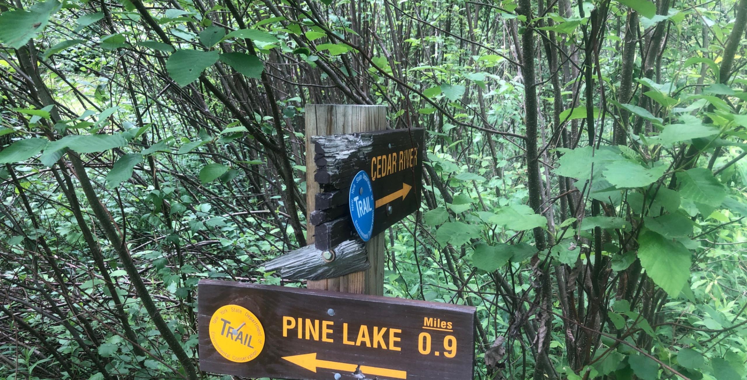 Mountain Biking at Pine Lake | Adirondack Experience