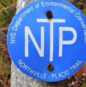 Blue trail marker with white lettering for the Northville-Placid Trail that is nailed to a tree
