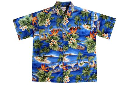 a picture of a Hawaiian shirt 