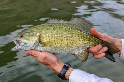 a man holding a small mouth bass fish in his hands over a lake