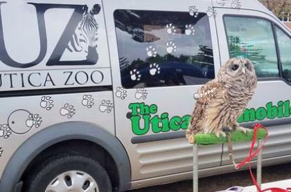 The Utica Zoo zoomobile parked in the back ground with a large owl perched on a stand infront of the vehicle