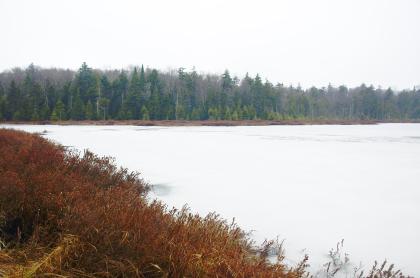 Oswego Pond is gorgeous in late fall.