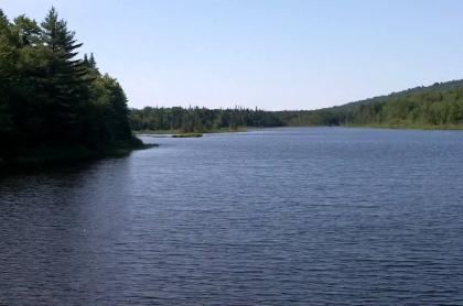 Part of the Moose River Plains Wild Forest.