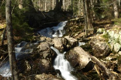 An especially scenic trail leading to a secluded lake.