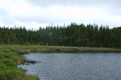 This pond is a backcountry hike destination.