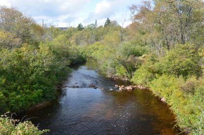 This lovely brook is in a remote location.