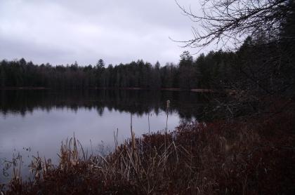 Paths to the shore access the pond.