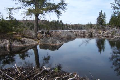 Gull Lakes is only accessible by boat.