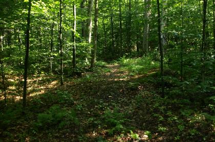 A beautiful forest trail that combines the communities of Inlet and Raquette Lake.