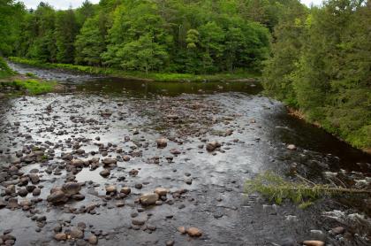 The view of a shallow&#44; rocky river