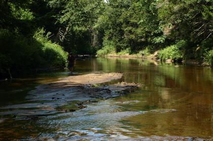 These fishing spots are for trout and salmon.