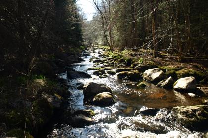 A stream flowing through chunky rocks.