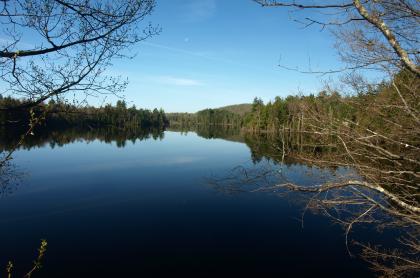 The view of a reflecting lake through some trees.