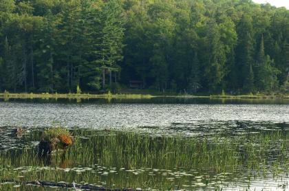 Good eating with brook trout and panfish at Utowana Lake.