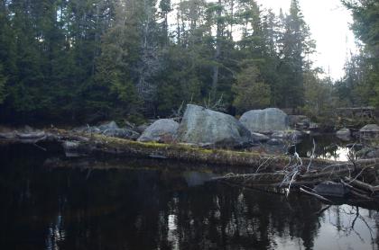 An interesting&#44; erratic&#44; shoreline at McRorie Lake.