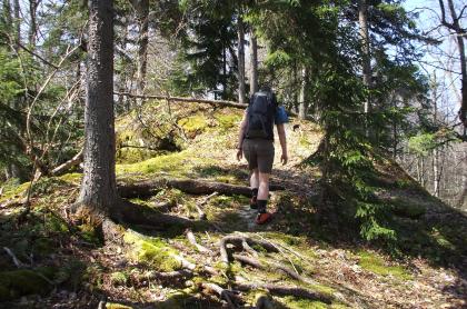 A hiker walks up a 