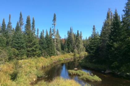 Parts of Fishing Brook can be accessed from County Line Flow.