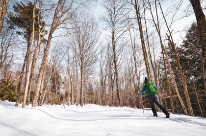 A skier glides through open woods