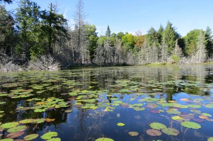 Beautiful paddling through a variety of terrain.