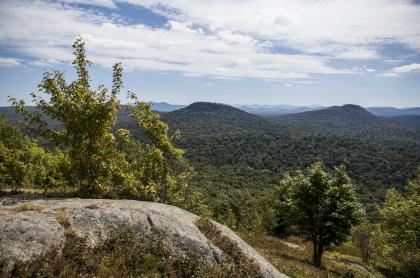 There's a bald summit with great views.