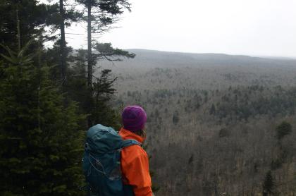 The top of the cliffs has the best view.