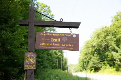 Trail sign for Cathedral Pines