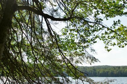 The whole family can enjoy this lake hike.