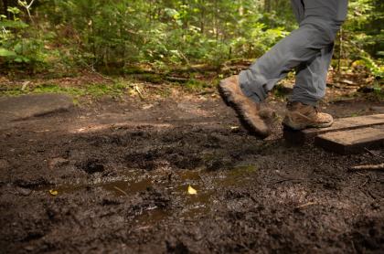 Walking through the mud