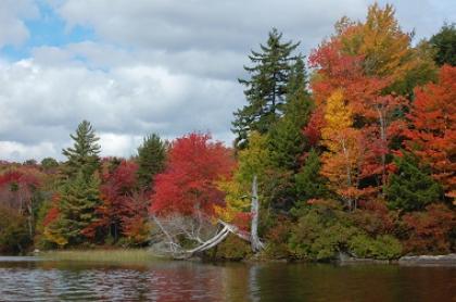 Limekiln Lake is a local favorite for seeing foliage.