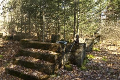 This is a non-maintained trail&#44; but so well-marked it will not challenge those bushwhacking skills.