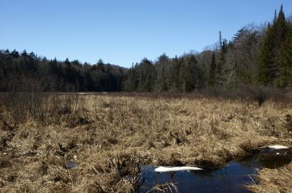 A great introduction to the famous Northville-Placid Trail.