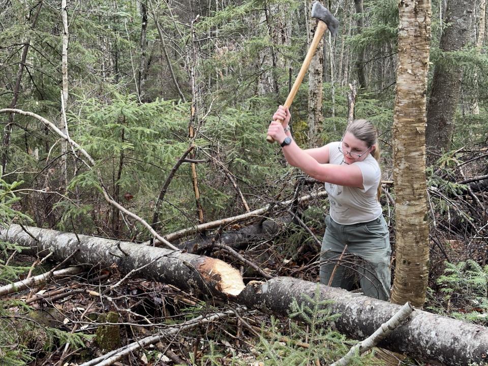 A woman cutting a tree in half that's laying over a trail