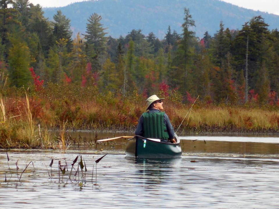 A man fishes from a canoe near marshland.