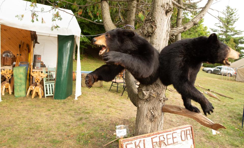 Two bear wall mounts hanging from a tree in front of a venders tent
