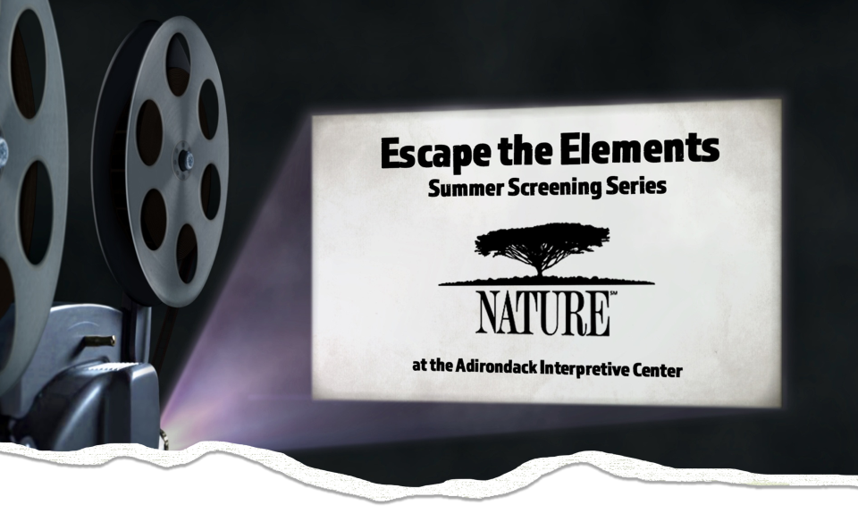 A picture of an old movie reel projector portraying on a white screen the title of the event: Escape the Elements summer screening series
