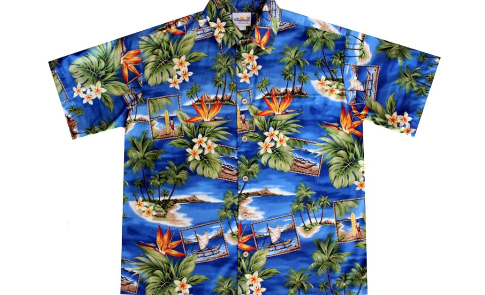 a picture of a Hawaiian shirt