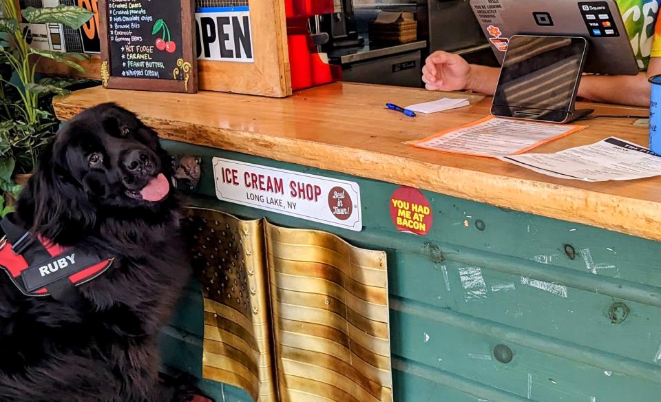 A black service dog sits in front of a small wooden checkout counter