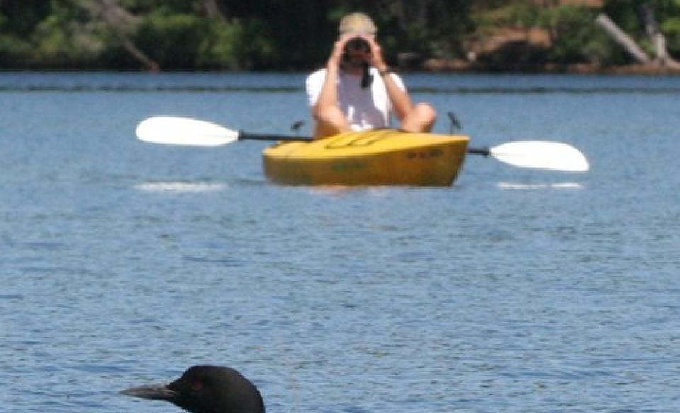 person in a yellow kayak looking through binoculars observing a loon