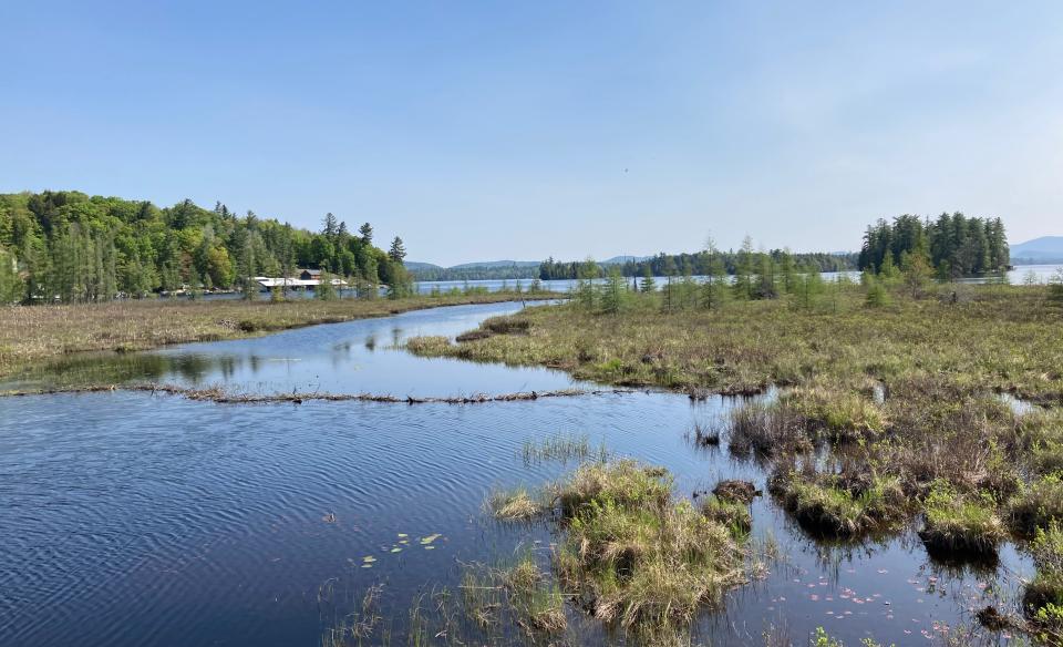 Expansive marshland on a sunny day.