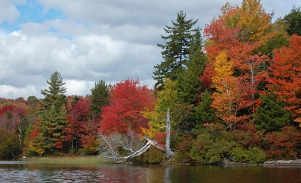 Limekiln Lake is a local favorite for seeing foliage.