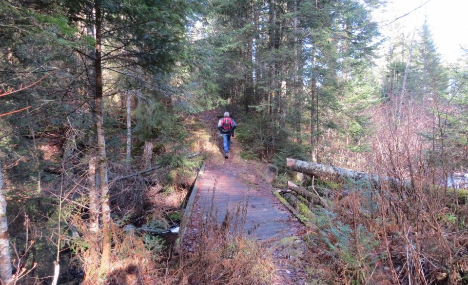 A hiker going over a wooden bridge