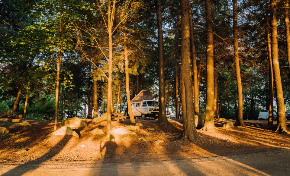 A pine-filled campground with a van.